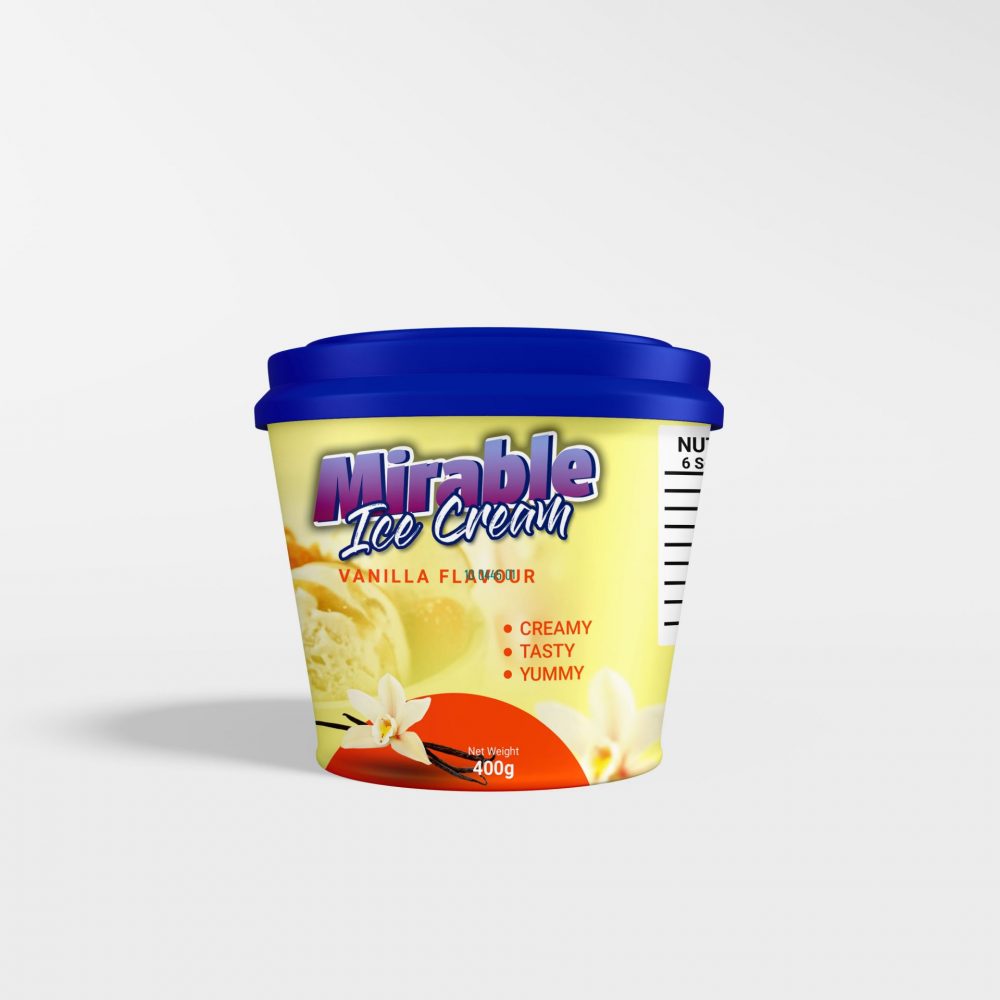 Plastic Ice Cream Tub Packaging Mockup